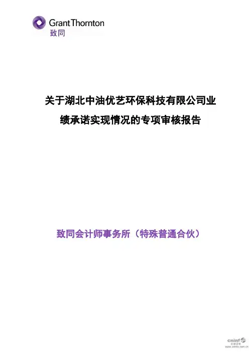 润邦股份：关于湖北中油优艺环保科技有限公司业绩承诺实现情况的专项审核报告