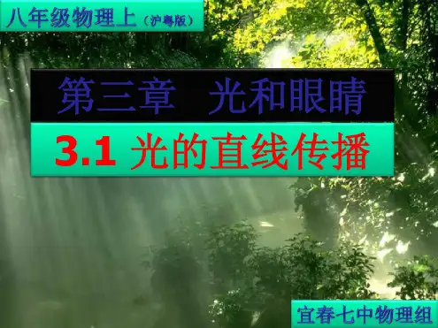 3.1光世界巡行课件2(物理粤教沪科版八年级上册)