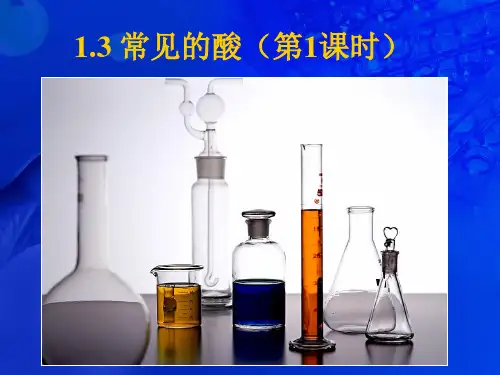 浙教版九年级上册科学常见的酸(第1课时)