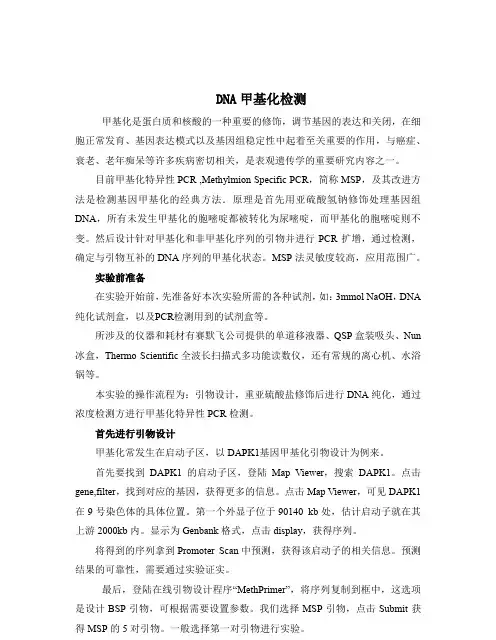 DNA甲基化检测实验指导