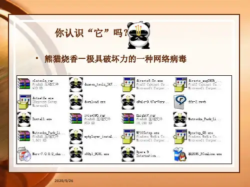 第5课_信息安全与信息道德
