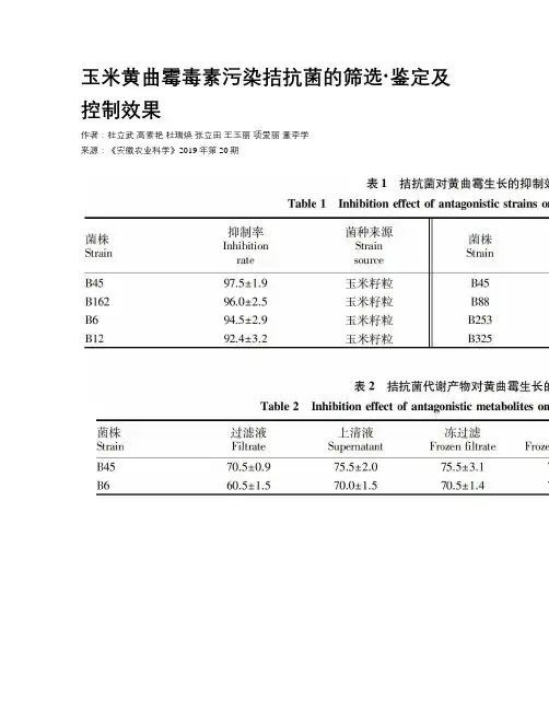 玉米黄曲霉毒素污染拮抗菌的筛选·鉴定及控制效果