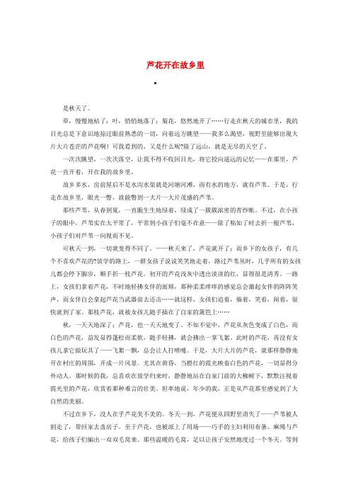 2020高考语文 智慧阅读第四辑 芦花开在故乡里作文素材
