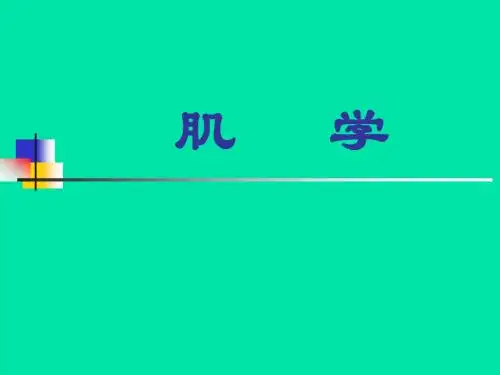 肌学教学课件