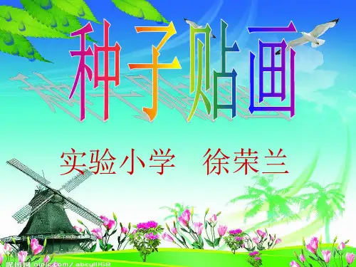 神奇的种子贴画