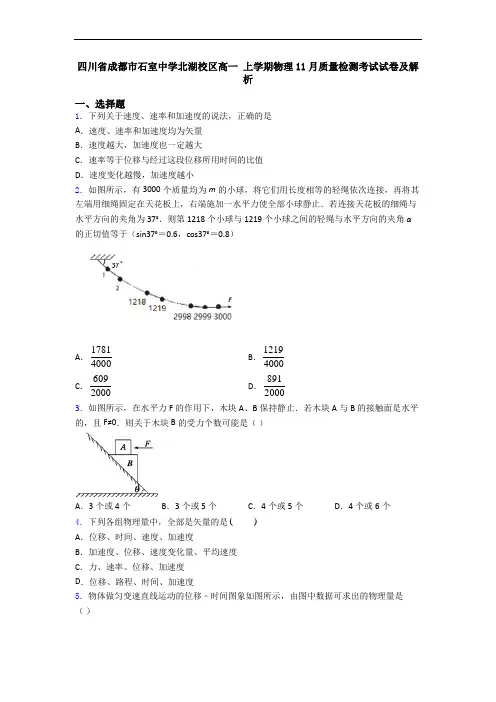 四川省成都市石室中学北湖校区高一 上学期物理11月质量检测考试试卷及解析