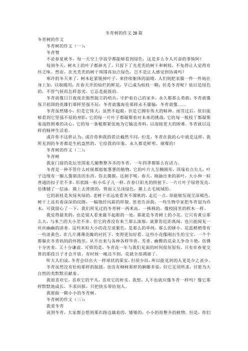 冬青树的作文20篇