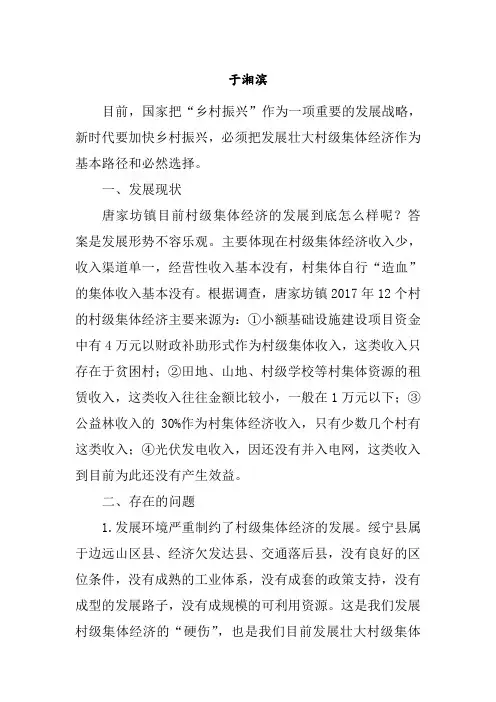 在村级集体经济发展座谈会上的发言材料