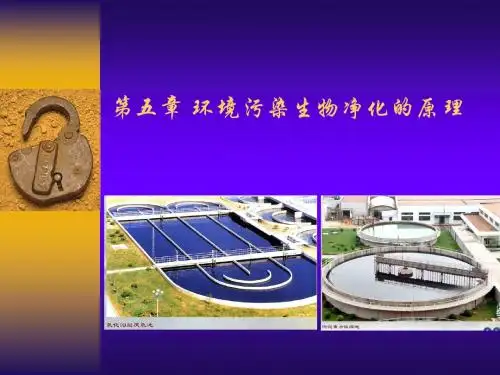 环境生物学 05 环境污染生物净化的原理