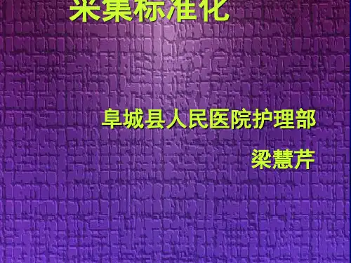 静脉采血标准化