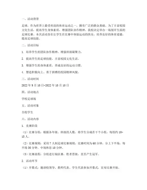 足球比赛多彩的活动方案