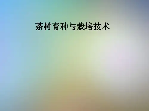 茶树育种与栽培技术
