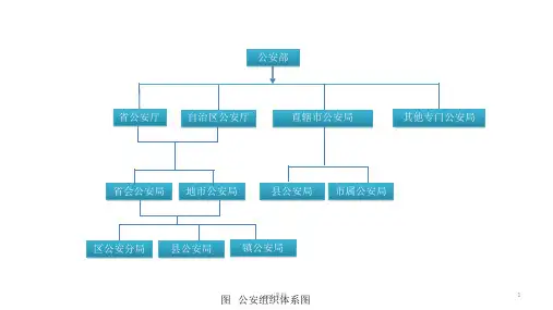 公安机关组织架构图ppt课件