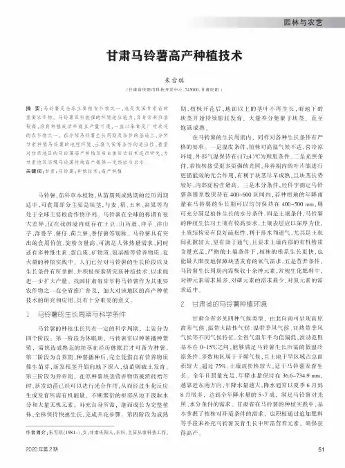 甘肃马铃薯高产种植技术
