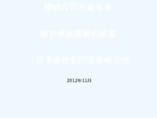 林业厅信息化交流材料