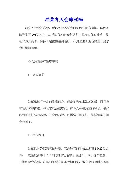 油菜冬天会冻死吗