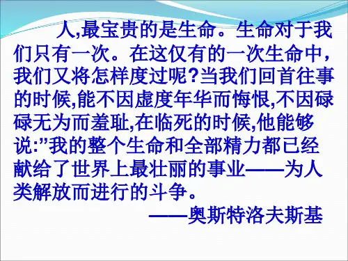 我的四季课件完整版
