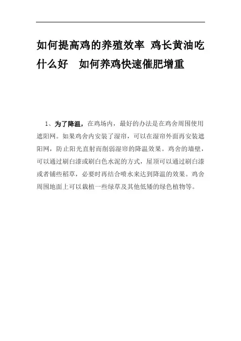 如何提高鸡的养殖效率 鸡长黄油吃什么好  如何养鸡快速催肥增重