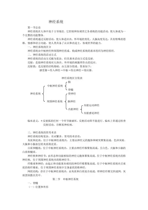 神经系统