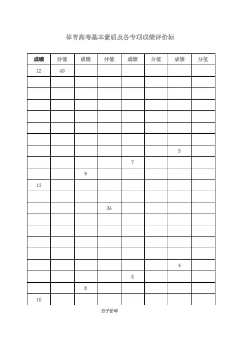 河南体育高考评分标准