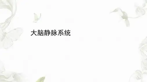 大脑静脉系统解剖PPT课件