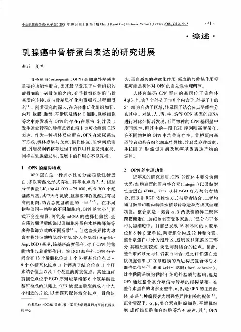 乳腺癌中骨桥蛋白表达的研究进展