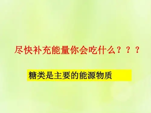 2018-2019高中生物 专题2.4 细胞中的糖类和脂质课件 新人教版必修1