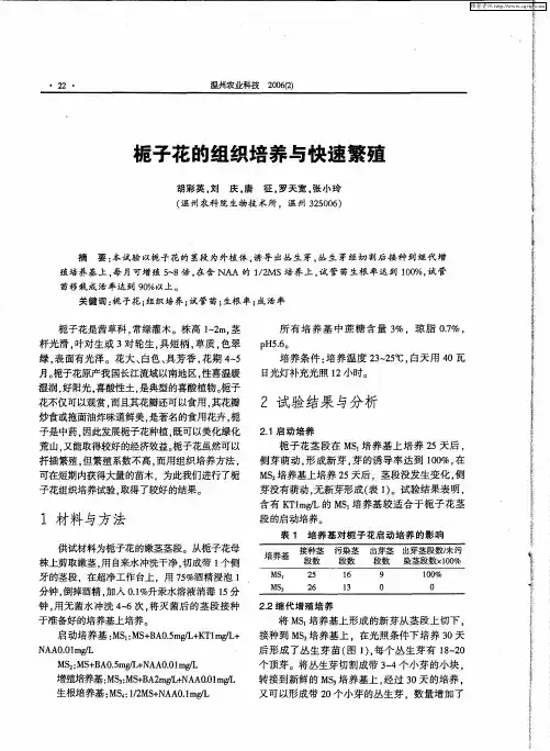 栀子花的组织培养与快速繁殖