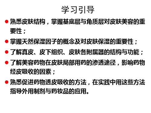 第二章皮肤结构与美容药物的透皮吸收