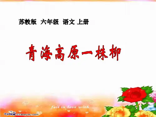 15《青海高原一株柳》ppt课件