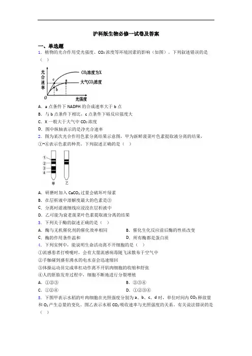 沪科版生物必修一试卷及答案