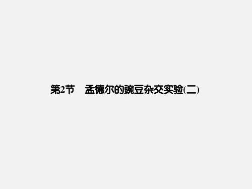 高考生物 一轮复习 第2节 孟德尔的豌豆杂交实验(二) 新人教版必修2