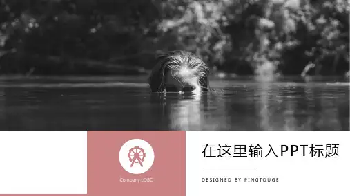 通用高大上水彩创意多线条静态电商风格入职培训ppt模板