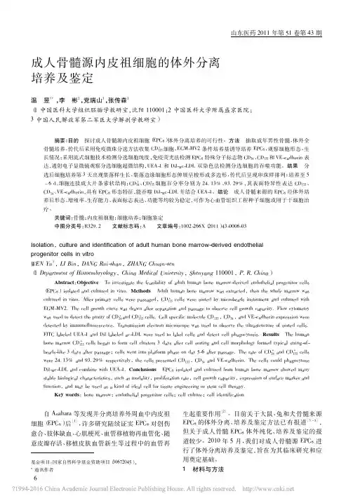 成人骨髓源内皮祖细胞的体外分离培养及鉴定_温昱