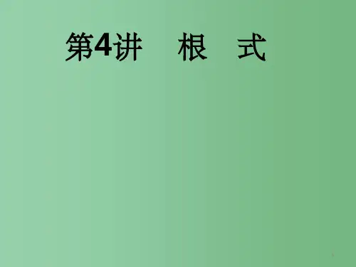 中考2016年中考数学专题复习 第4讲 根式课件