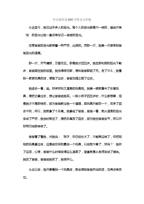 什么的目光600字作文七年级