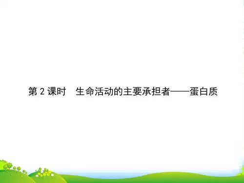 人教版高一生物必修1复习课件:第2单元组成细胞的分子第2课时