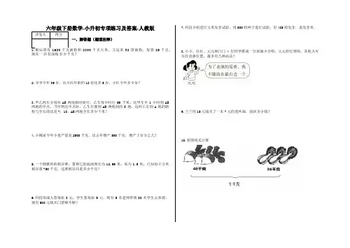 六年级下册数学-小升初专项练习及答案-B22-人教版