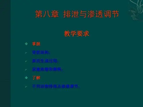动物生理学第九章排泄及渗透调节