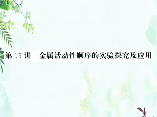 中考化学总复习课件：第15讲 (共28张PPT)