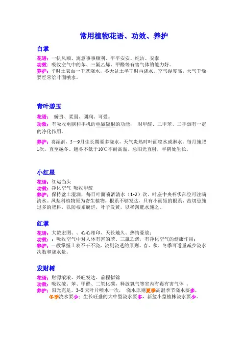 花语 2