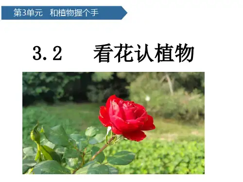 (一下)科学优秀课件-9看花认植物 青岛版(六年制)PPT(18页)