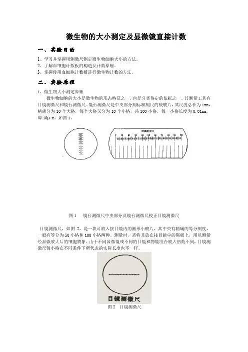 酵母菌计数t和大小测定