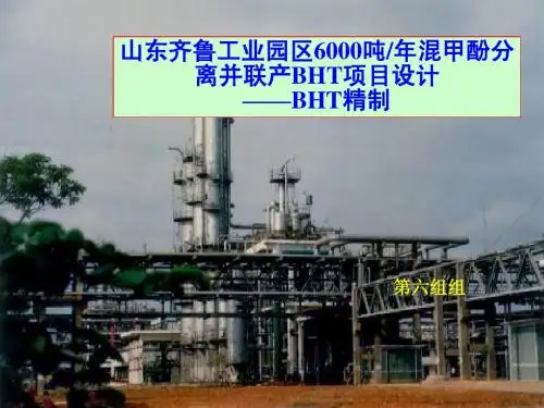 化工设计个人答辩