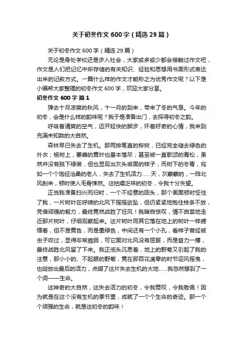 关于初冬作文600字（精选29篇）