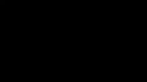 寄畅园详细介绍PPT
