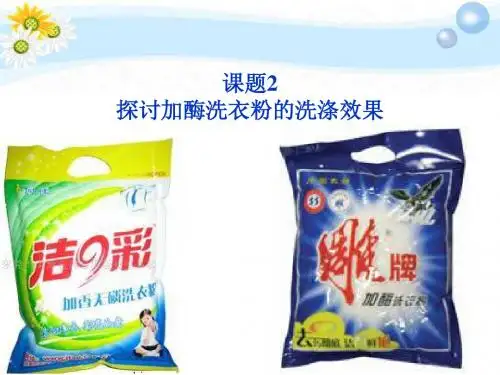 2012高中生物_4.2_探讨加酶洗衣粉的洗涤效果课件_新人教版选修1