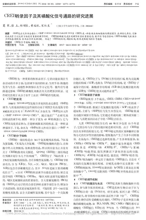 CREB转录因子及其磷酸化信号通路的研究进展_葛军