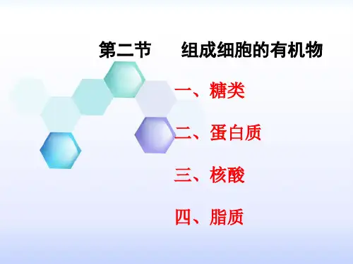 组成细胞的有机物(糖类)