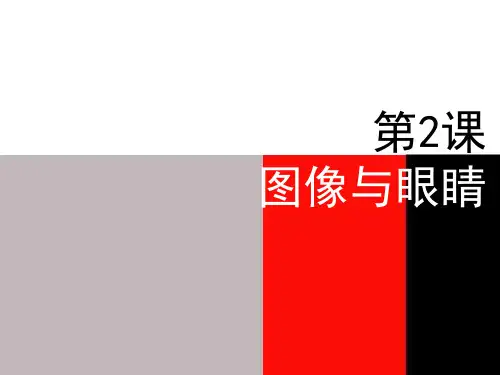 《图像与眼睛》PPT课件